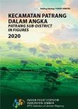 Kecamatan Patrang Dalam Angka 2020